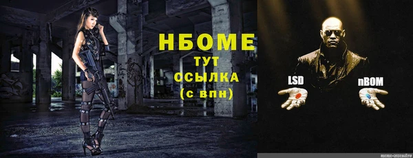 индика Армянск