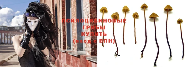 кокс Алзамай