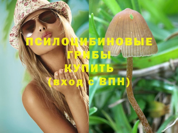 герыч Аркадак