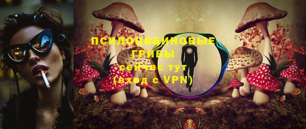 apvp Алексин