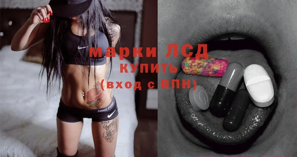 индика Армянск