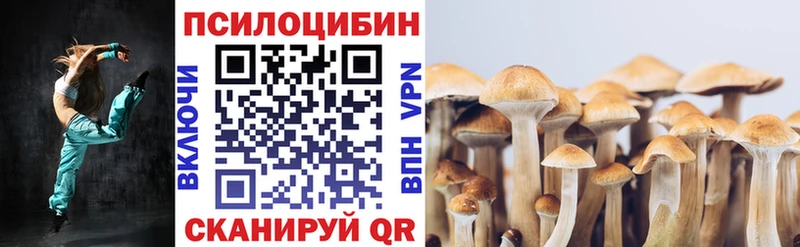 Псилоцибиновые грибы Cubensis  blacksprut онион  Баймак 